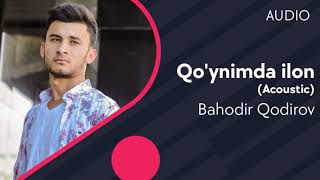 Bahodir Qodirov - Qo'ynimda ilon (Acoustic)