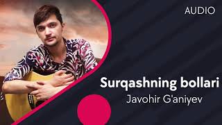 Javohir G'aniyev - Surqashning bollari